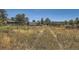 Rural property featuring open land, outbuildings, and distant trees under a clear sky at 801 Panorama Dr, Golden, CO 80401