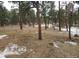 Wooded lot with some snow on the ground and sparse undergrowth at 11967 W Ranch Elsie Rd, Golden, CO 80403