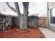 Private backyard with a large tree, wooden fence, and gate at 1253 S Yosemite Way # 94, Denver, CO 80247