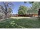 Spacious backyard with grassy lawn, mature trees, and a wooden fence at 2599 S Jebel Way, Aurora, CO 80013