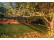 Landscaped backyard with a grassy area, mature trees, and string lights at 9641 Sierra Dr, Arvada, CO 80005