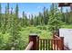 Deck view of hot tub and surrounding trees at 274 Cr 672, Breckenridge, CO 80424