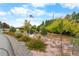 Landscaped front yard with a large flag and mature trees at 9941 Ammons Cir, Broomfield, CO 80021