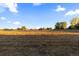 Open field with dry grass and distant trees at 9941 Ammons Cir, Broomfield, CO 80021