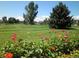 Landscaped golf course with vibrant flowers at 690 S Alton Way # 1C, Denver, CO 80247