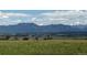 Beautiful mountain views and a landscape of green grass with houses in the distance at 3081 W 151St Ct, Broomfield, CO 80023