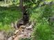 Small creek running through the property at 106 Brook Rd, Evergreen, CO 80439
