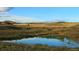 Open landscape with a pond reflecting the clear sky at 5009 Hickory Oaks St, Castle Rock, CO 80104