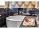 Bathroom features a luxurious oval tub and unique sink at 965 N Pennsylvania St, Denver, CO 80203