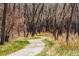 A nature trail winds through a wooded area at 1750 S Ironton St, Aurora, CO 80012