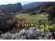 Vibrant flower garden with mountain backdrop at 6301 Perry Park Blvd # 13, Larkspur, CO 80118