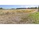 View of open space with dry grass and distant homes at 5647 Raleigh Cir, Castle Rock, CO 80104