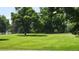 Spacious grassy front yard with mature trees providing shade at 6435 E Cedar Ave, Denver, CO 80224