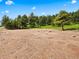 Partially cleared lot surrounded by trees at 63 Canyon Pines Dr, Arvada, CO 80403