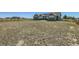 Large backyard with ample space for recreation at 738 S Main St, Byers, CO 80103