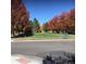 Open green space with mature trees in the fall at 13674 Plaster Cir, Broomfield, CO 80023