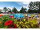 Relaxing pool area with colorful flowers at 8006 Trinity Peak Ln, Castle Rock, CO 80108