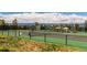 Well-maintained tennis courts with mountain views at 8006 Trinity Peak Ln, Castle Rock, CO 80108