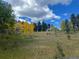 Picturesque aspen trees changing colors at 26526 Gray Buck Trl, Conifer, CO 80433