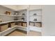 Well-organized pantry with ample shelving and storage at 13830 Emerald Lake St, Parker, CO 80138