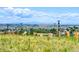 Scenic open space with mountain views at 9737 Majestic Oak Dr, Parker, CO 80134