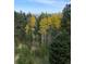 Stunning aerial view of property with beautiful mountain scenery and fall foliage at 8 Yuma Trl, Evergreen, CO 80439