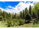 Wooded lot with mountain views at 8 Yuma Trl, Evergreen, CO 80439