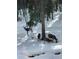Deer in snowy woods near property at 8 Yuma Trl, Evergreen, CO 80439