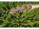 Bird's eye view of a home surrounded by trees at 1003 Boreas Pass Rd, Breckenridge, CO 80424
