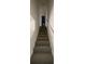 Indoor carpeted staircase leading to the upper level of the home at 8031 Wolff St # H, Westminster, CO 80031