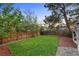 Fenced backyard with grass and trees at 7717 S Grape Ct, Centennial, CO 80122