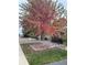 Landscaped front yard with colorful tree and rock accents at 8089 Greenwood Blvd, Denver, CO 80221