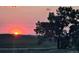 Stunning sunset view over rolling hills and a tree silhouetted against the sky at 3188 S County Road 137, Bennett, CO 80102
