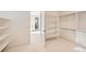 Bright walk-in closet offering ample storage space at 3534 Running Deer Dr, Castle Rock, CO 80109