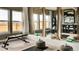 Dedicated home gym with mirrored walls, exercise equipment, and storage at 16655 W 93Rd Pl, Arvada, CO 80007