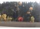 Scenic view of a waterfall and a jack-o-lantern decoration at 209 10Th Ave, Idaho Springs, CO 80452