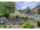 Raised garden beds and greenhouse in the backyard at 209 10Th Ave, Idaho Springs, CO 80452