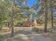 Red barn-style home nestled in trees at 1300 Main St, Georgetown, CO 80444