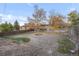 Spacious backyard with mature trees and a shed at 3955 S Uinta St, Denver, CO 80237