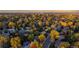 Neighborhood aerial view showing homes with autumn foliage at 3955 S Uinta St, Denver, CO 80237