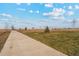 Concrete pathway through a grassy field at 2460 Christina St, Fort Lupton, CO 80621