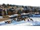 Aerial view of neighborhood with a herd of elk at 24087 Deer Valley Rd, Golden, CO 80401