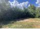Large backyard with stone firepit and mature trees at 1515 S Monaco Pkwy, Denver, CO 80224