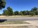 Property fronts a tree-lined street with a park across the road at 1515 S Monaco Pkwy, Denver, CO 80224