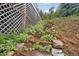 Stone steps leading to the backyard, surrounded by greenery at 6763 Deer Path, Evergreen, CO 80439