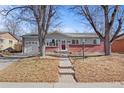 Ranch style home with brick accents, mature trees, and a landscaped yard at 3246 S Stuart St, Denver, CO 80236