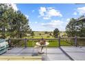 Deck overlooking scenic landscape and distant mountains at 306 Andrea Cir, Parker, CO 80138