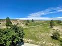 View of grassy open space with a retaining wall and some trees at 3892 Pecos Trl, Castle Rock, CO 80109