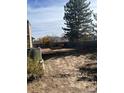 Large backyard with a deck and open space at 15038 E Greenwood Pl, Aurora, CO 80014