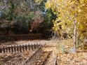 Backyard with a wooden fence and autumn leaves on the ground at 765 S Krameria St, Denver, CO 80224